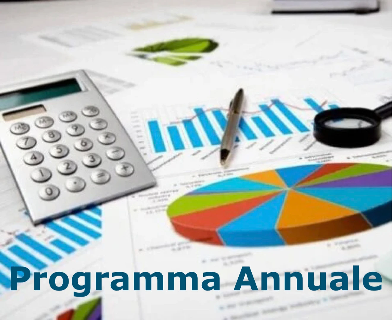 Bilancio - Programma Annuale